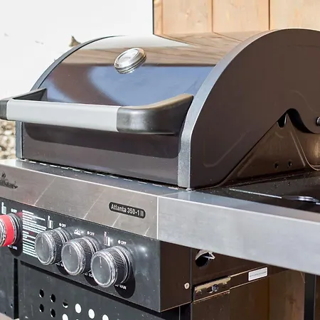 Alpen Diamond Penthouse & Daire